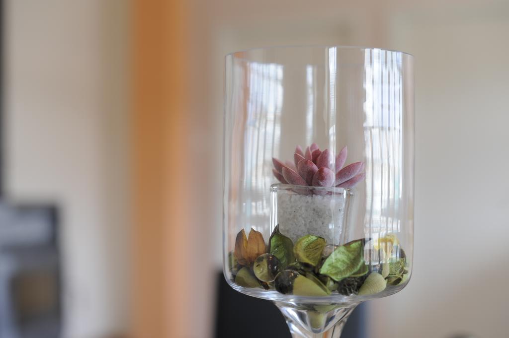 Apartment Jaz Bibinje Pokój zdjęcie